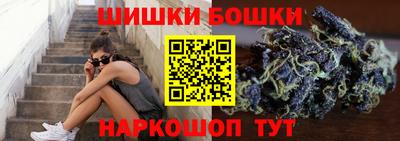 крисы Свободный