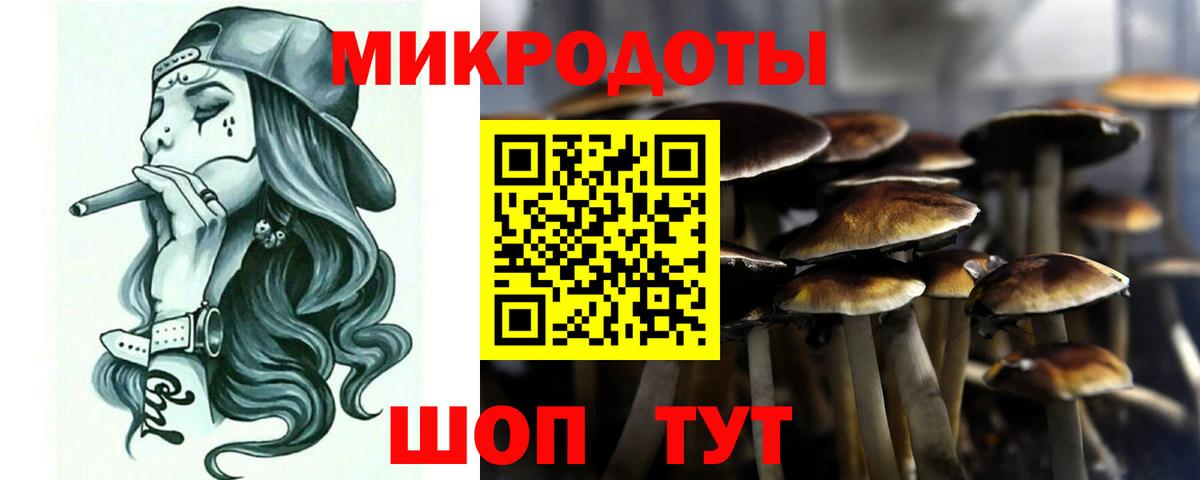 Псилоцибиновые грибы мицелий Сарапул